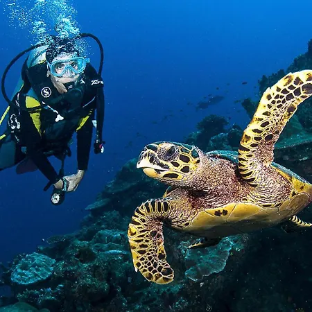 Golf Del Sur - Magnificent Panorama Of The Ocean, El Teide, And Montana Roja San Miguel de Abona